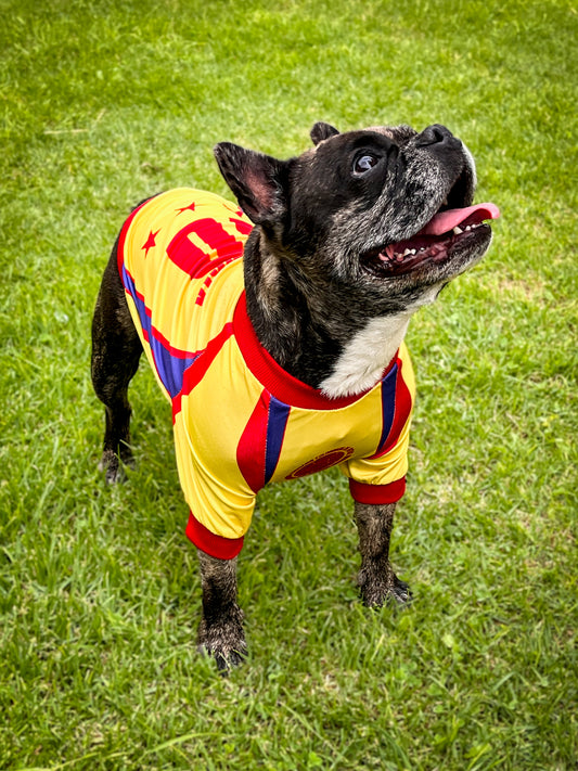 Camiseta Colombia para Perros — Edición Mundialista con Sabor