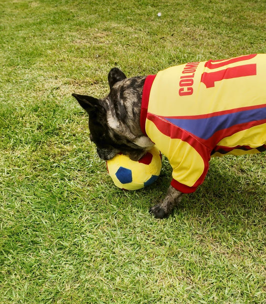 Pelota de Fútbol Tricolor
