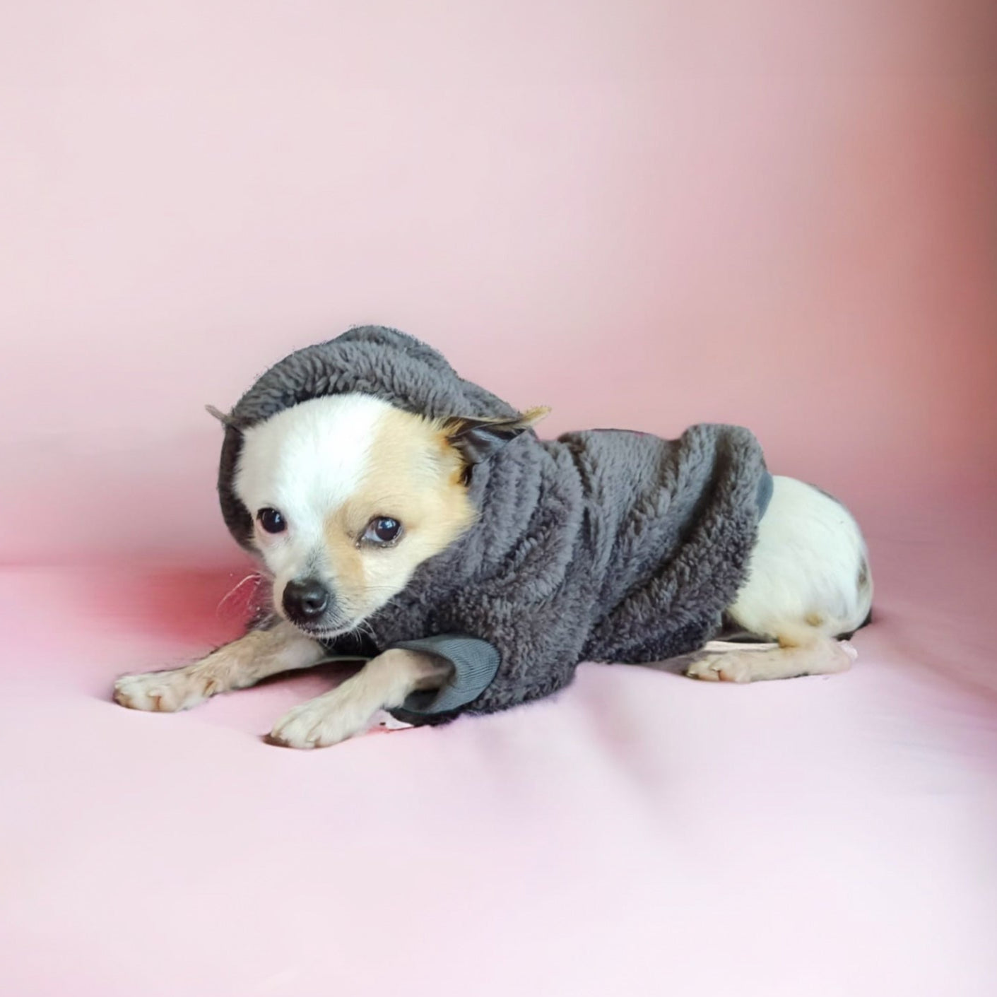 Buzo Ovejero Gris/Beige