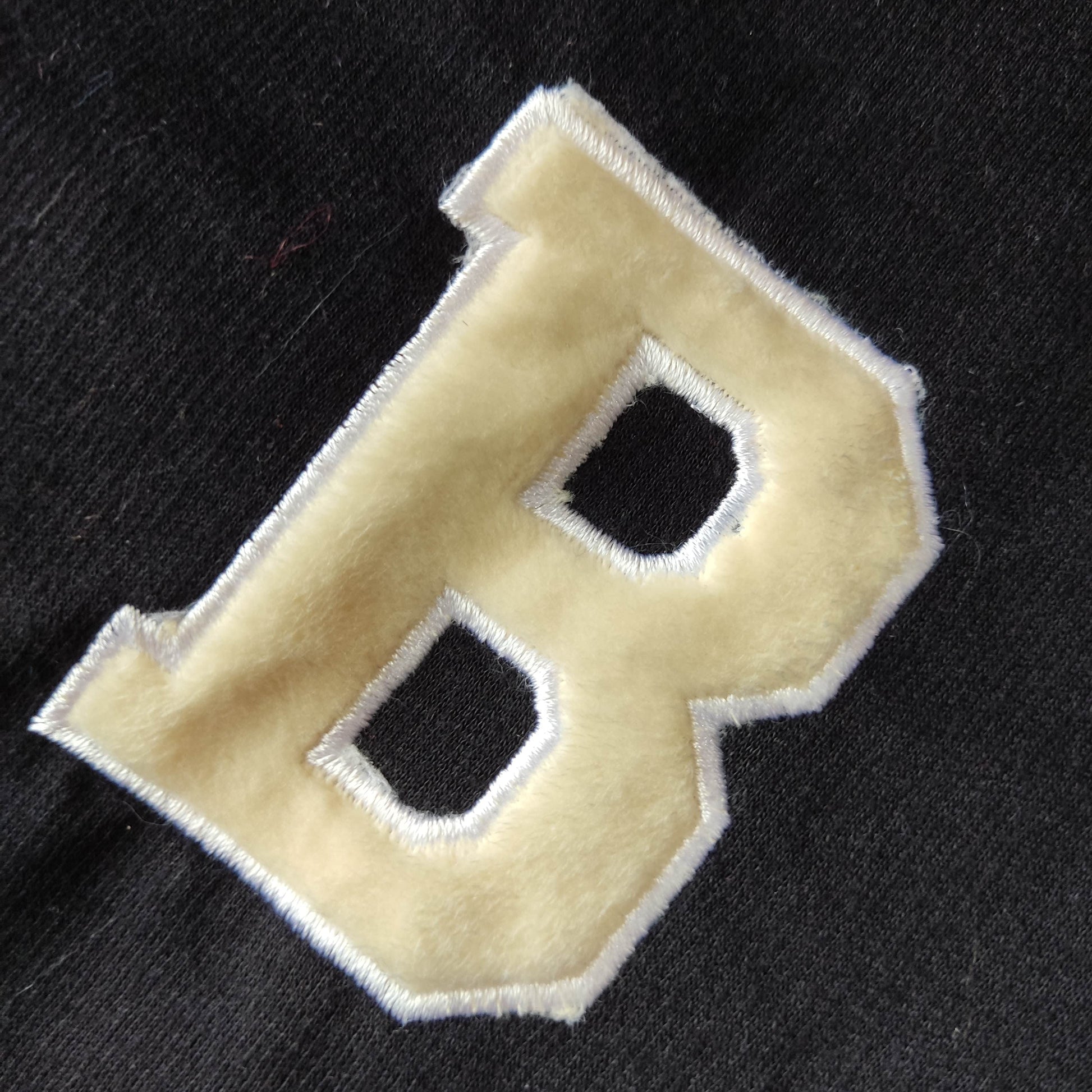 Detalle chaqueta beisbolera para perro