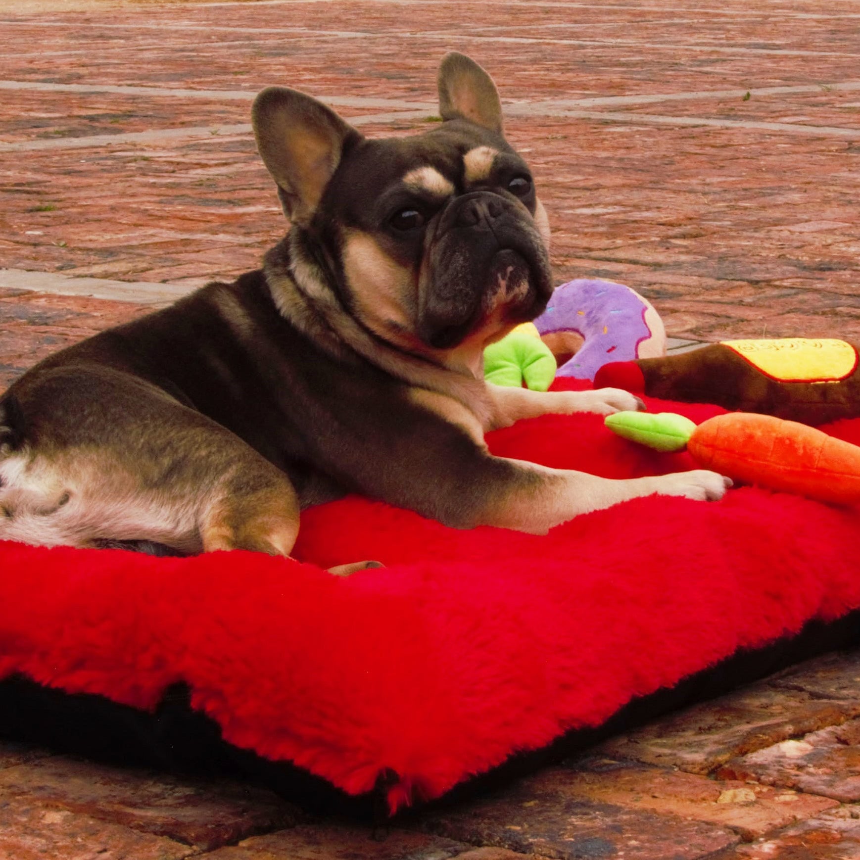 Colchoneta pet rojal para perro 
